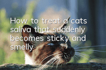 How to treat a cat’s saliva that suddenly becomes sticky and smelly?