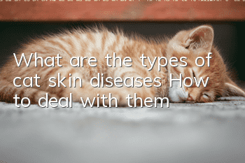 What are the types of cat skin diseases? How to deal with them?