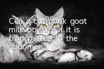 Can a cat drink goat milk powder if it is transmitted to the abdomen?