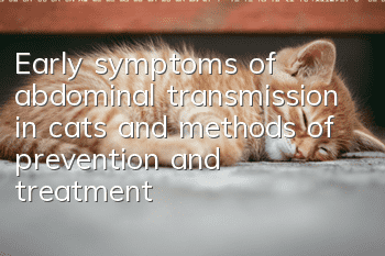 Early symptoms of abdominal transmission in cats and methods of prevention and treatment