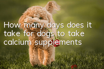 How many days does it take for dogs to take calcium supplements?