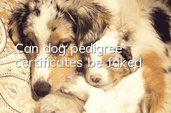 Can dog pedigree certificates be faked?