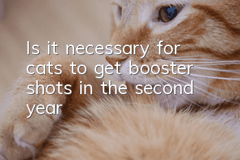 Is it necessary for cats to get booster shots in the second year?