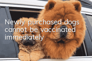 Newly purchased dogs cannot be vaccinated immediately!