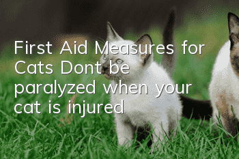 First Aid Measures for Cats Don’t be paralyzed when your cat is injured