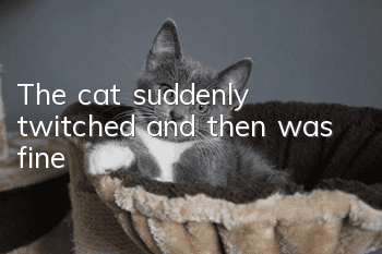 The cat suddenly twitched and then was fine
