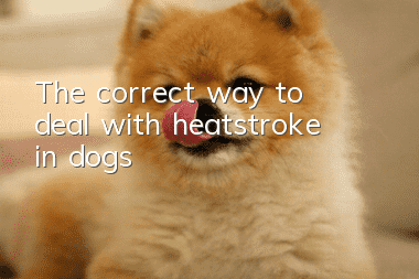 The correct way to deal with heatstroke in dogs