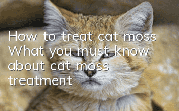 How to treat cat moss? What you must know about cat moss treatment!