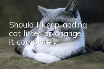 Should I keep adding cat litter or change it completely?