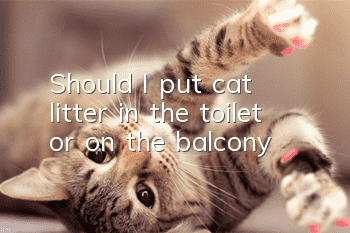 Should I put cat litter in the toilet or on the balcony?