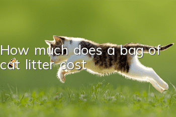 How much does a bag of cat litter cost?