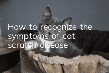 How to recognize the symptoms of cat scratch disease?