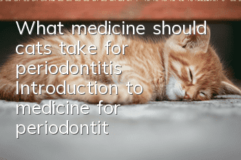 What medicine should cats take for periodontitis? Introduction to medicine for periodontitis