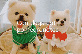 Can dogs eat pomegranates?