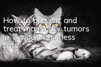 How to prevent and treat mammary tumors in Canadian hairless cats?