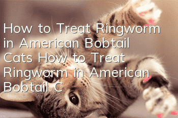 How to Treat Ringworm in American Bobtail Cats How to Treat Ringworm in American Bobtail Cats