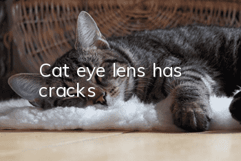 Cat eye lens has cracks