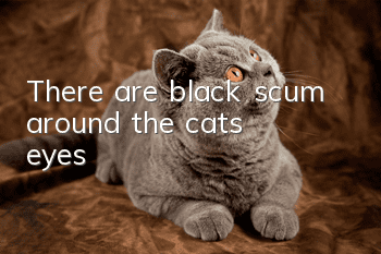 There are black scum around the cat’s eyes
