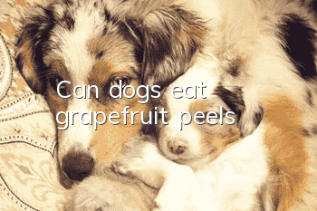 Can dogs eat grapefruit peels?