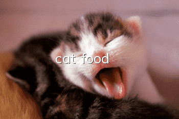 cat food