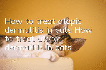 How to treat atopic dermatitis in cats How to treat atopic dermatitis in cats