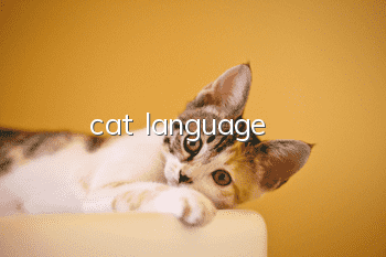 cat language
