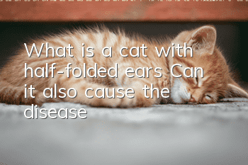 What is a cat with half-folded ears? Can it also cause the disease?