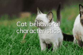 Cat behavioral characteristics