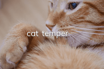 cat temper