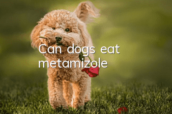 Can dogs eat metamizole?