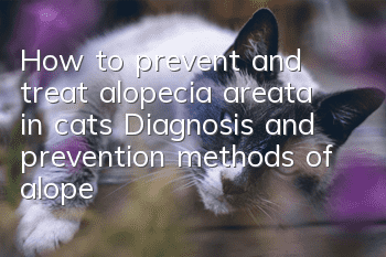 How to prevent and treat alopecia areata in cats Diagnosis and prevention methods of alopecia areata