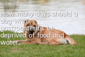 How many days should a dog with gastroenteritis be deprived of food and water?