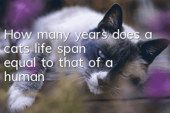 How many years does a cat's life span equal to that of a human?