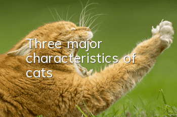 Three major characteristics of cats