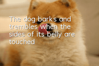 The dog barks and trembles when the sides of its belly are touched