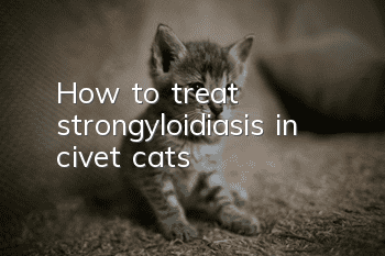 How to treat strongyloidiasis in civet cats