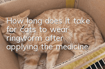 How long does it take for cats to wear ringworm after applying the medicine?