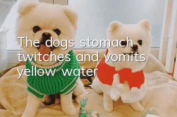The dog's stomach twitches and vomits yellow water
