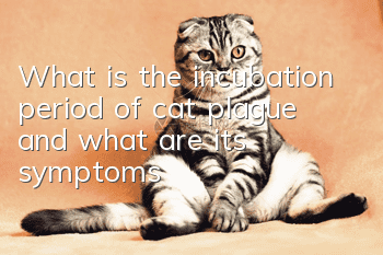 What is the incubation period of cat plague and what are its symptoms?
