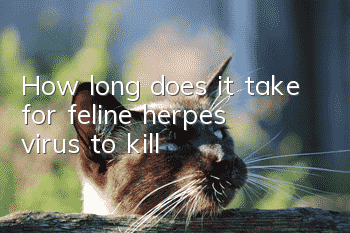 How long does it take for feline herpes virus to kill?