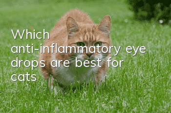 Which anti-inflammatory eye drops are best for cats?