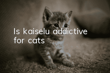Is kaiselu addictive for cats?