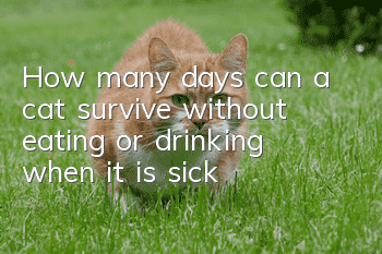 How many days can a cat survive without eating or drinking when it is sick?