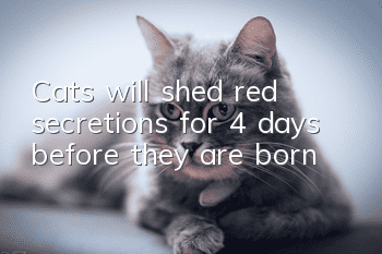 Cats will shed red secretions for 4 days before they are born