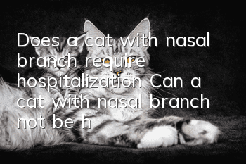 Does a cat with nasal branch require hospitalization? Can a cat with nasal branch not be hospitalized?