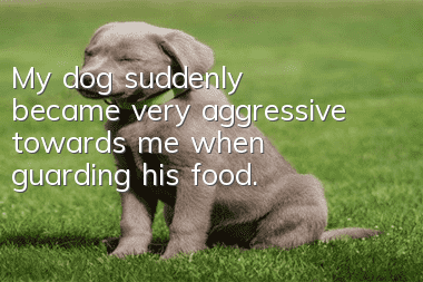 My dog suddenly became very aggressive towards me when guarding his food.