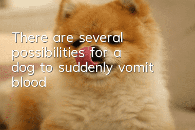 There are several possibilities for a dog to suddenly vomit blood