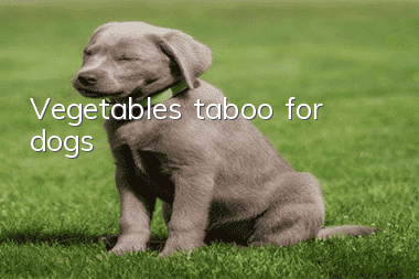 Vegetables taboo for dogs