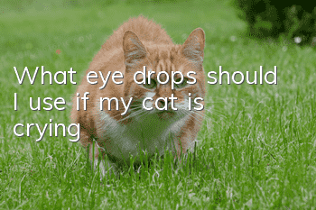 What eye drops should I use if my cat is crying?