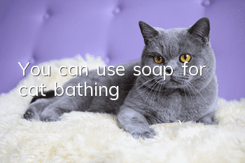 You can use soap for cat bathing